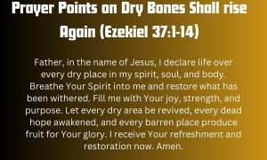 Prayer Points on Dry Bones Shall rise Again (Ezekiel 37:1-14)